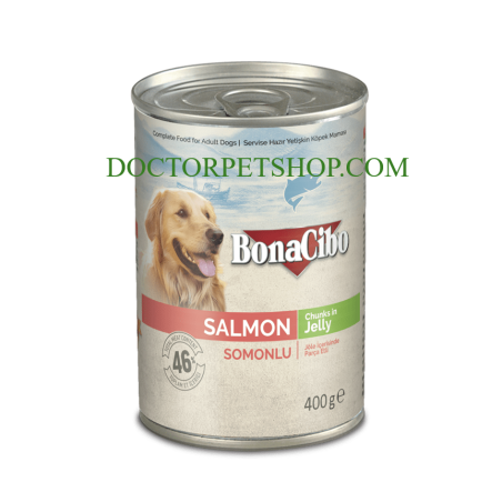 Bonacibo Adult Dog Salmon - Chunks in Jelly 400 g Canned