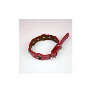 import placeholder for 3511707