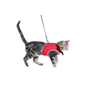 import placeholder for 3511768