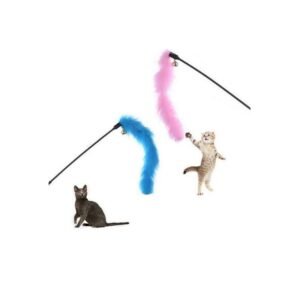 import placeholder for 3513643