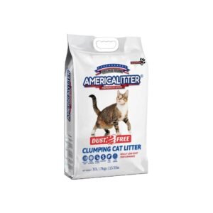 import placeholder for 53961